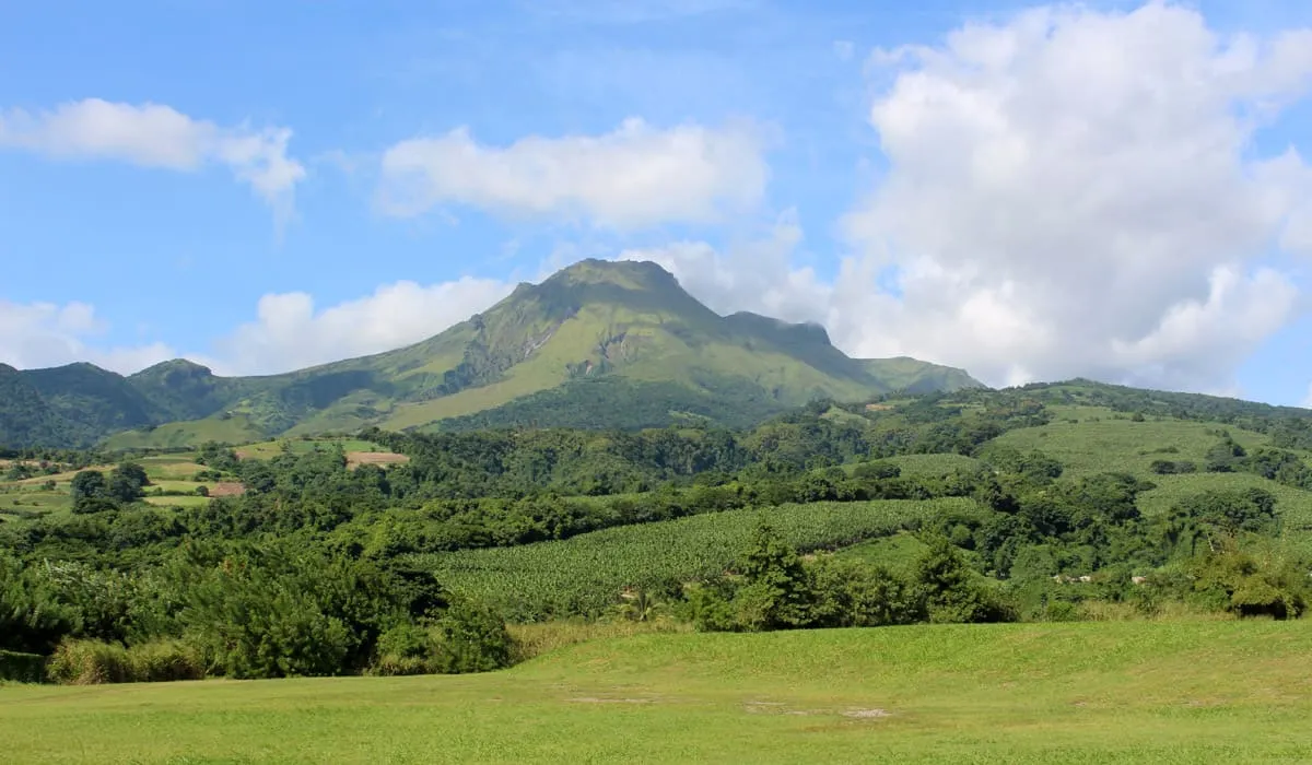 Mount Pelee