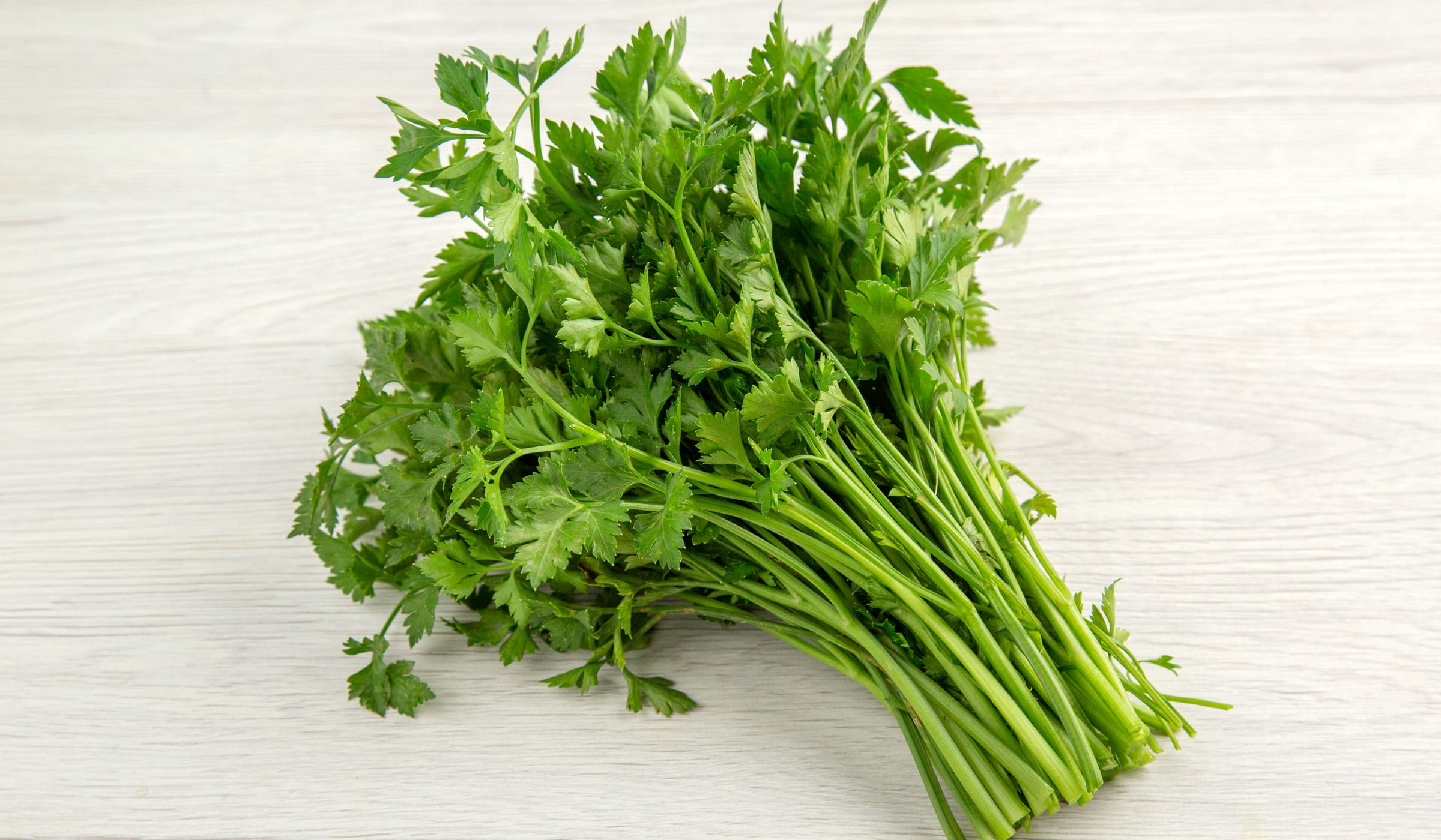 Branch of celery