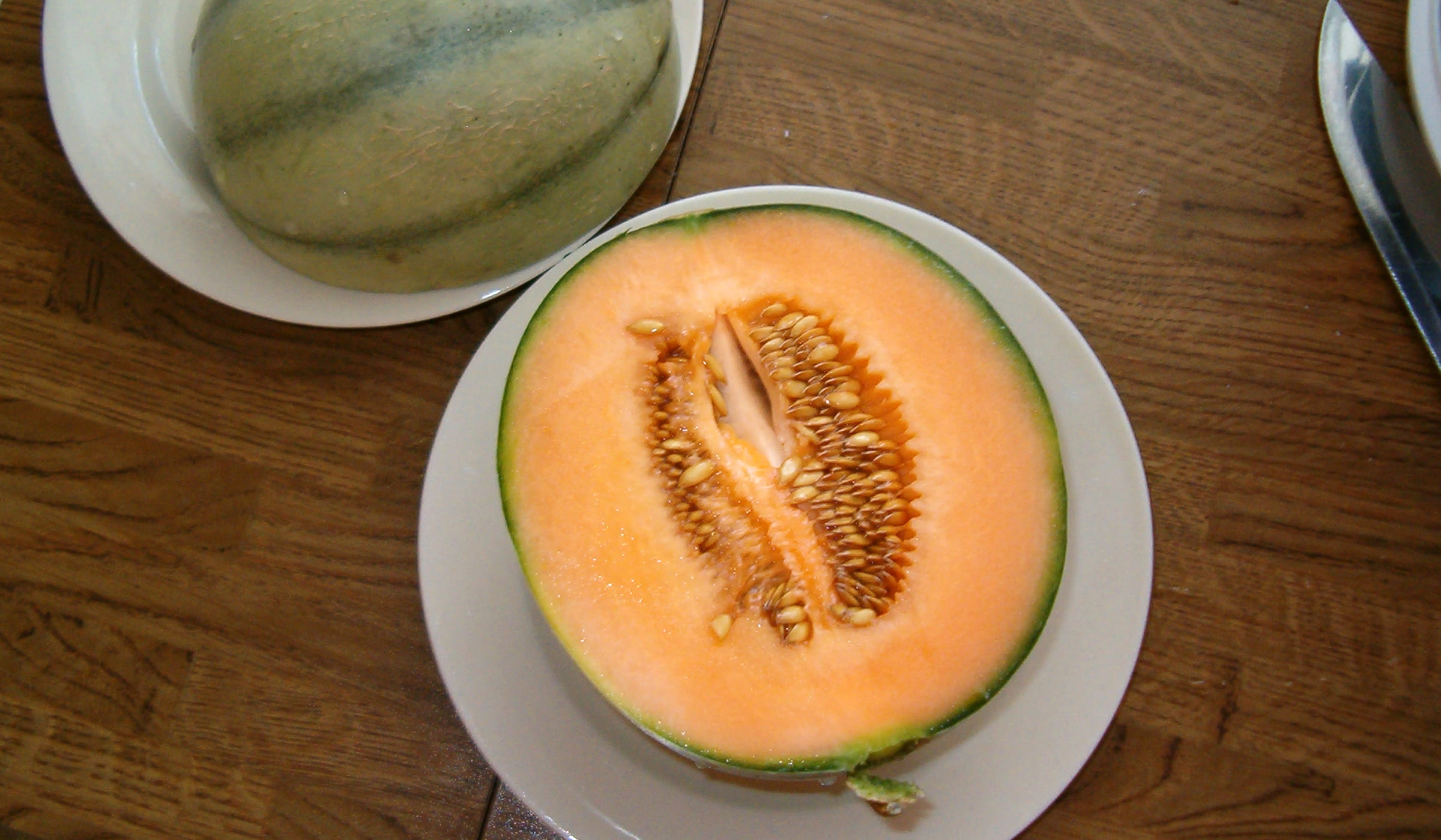 Cantaloupe melon cut in half on a plate