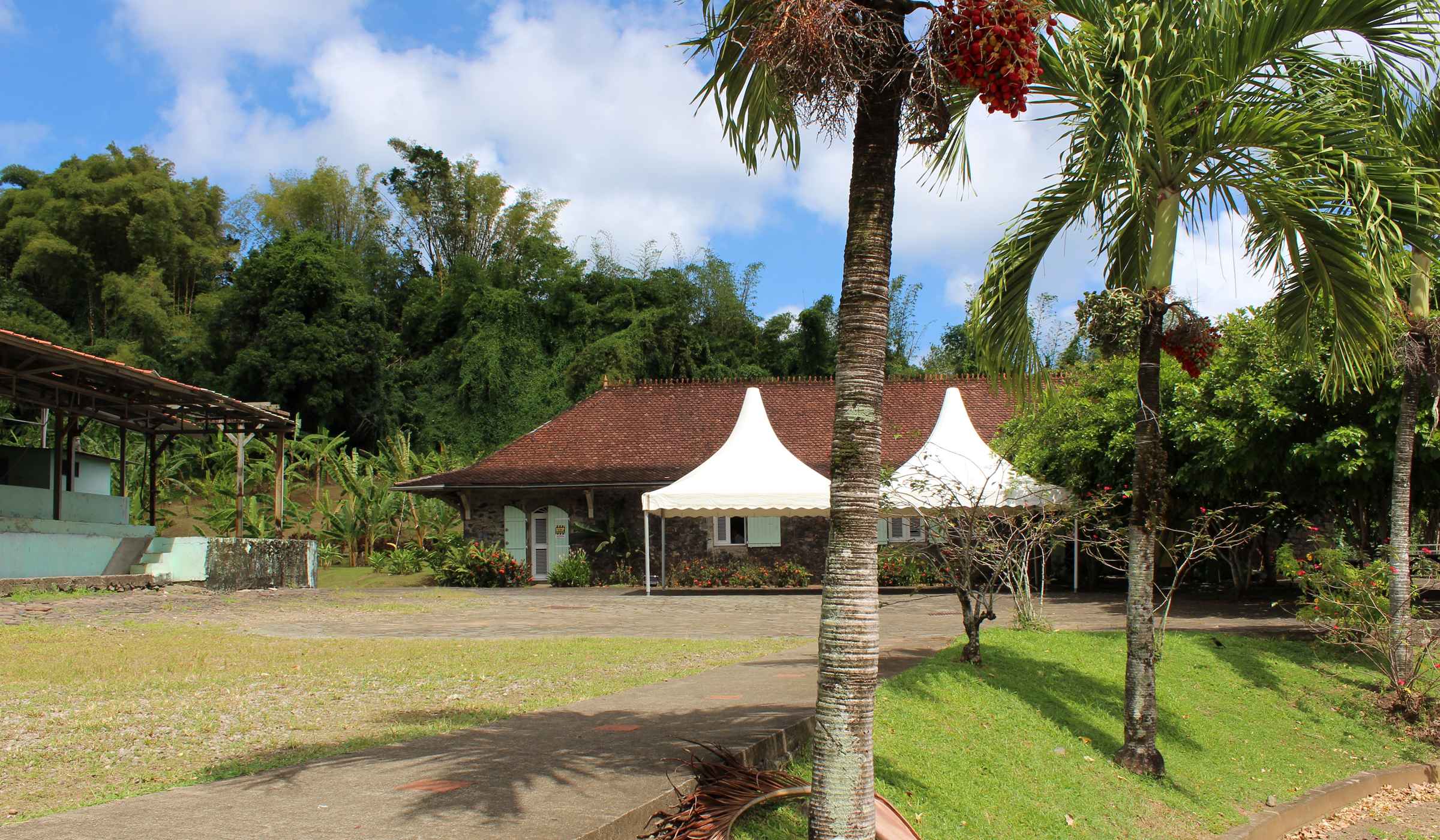 Banana Museum