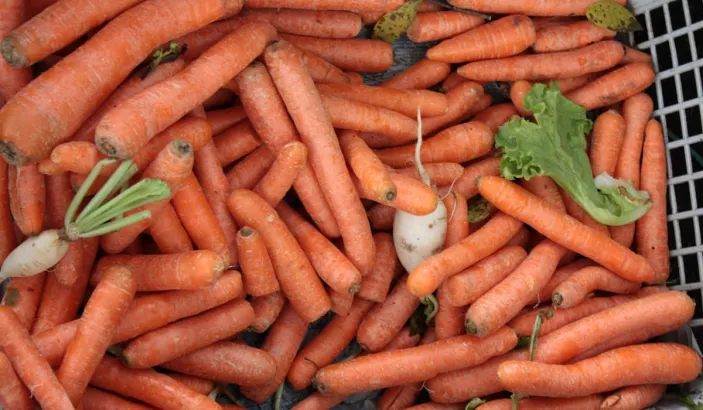 Carottes en vente au marché de Fort-de-France