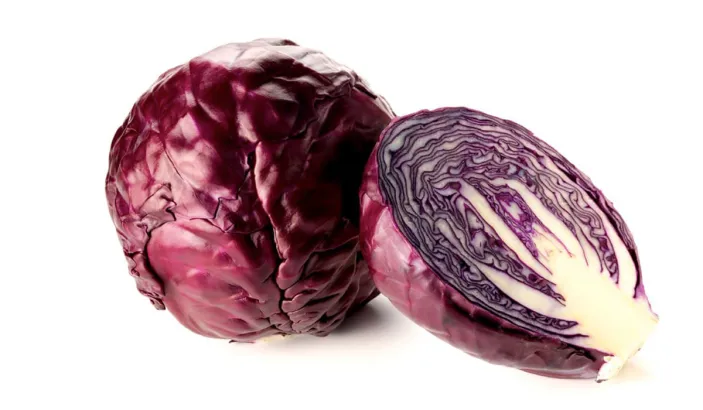 Purple cabbage