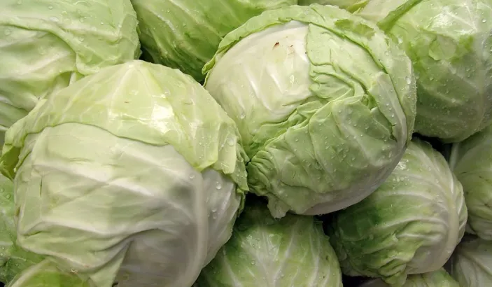 Cabbage