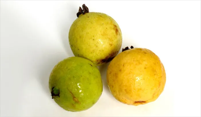 Goyaves