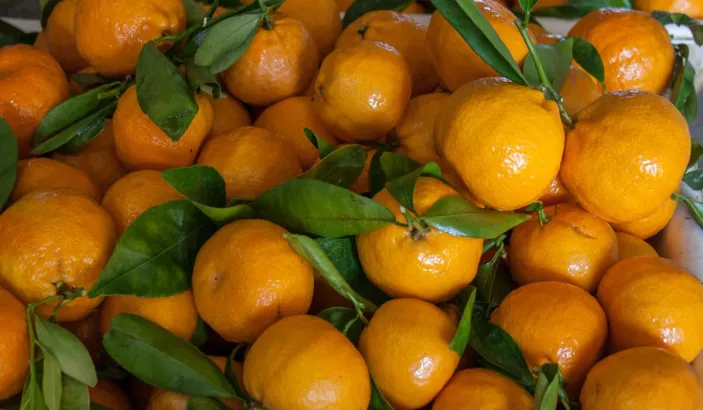 Mandarines