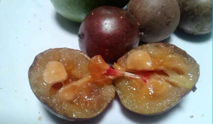 Mérise coupée en deux