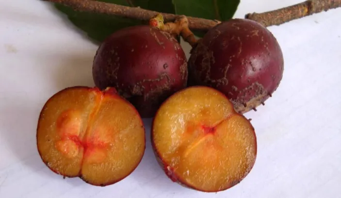 Mérise coupée en deux