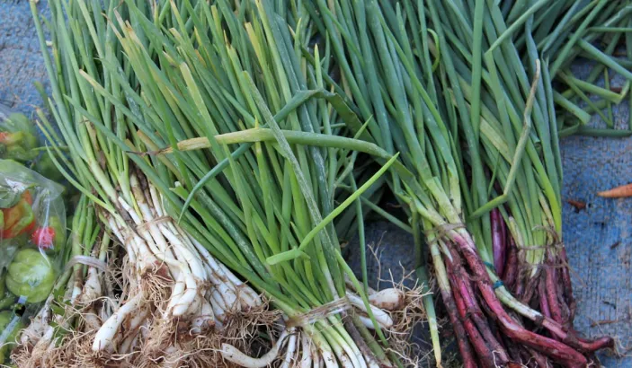 Oignon pays en vente au marché de Fort-de-France