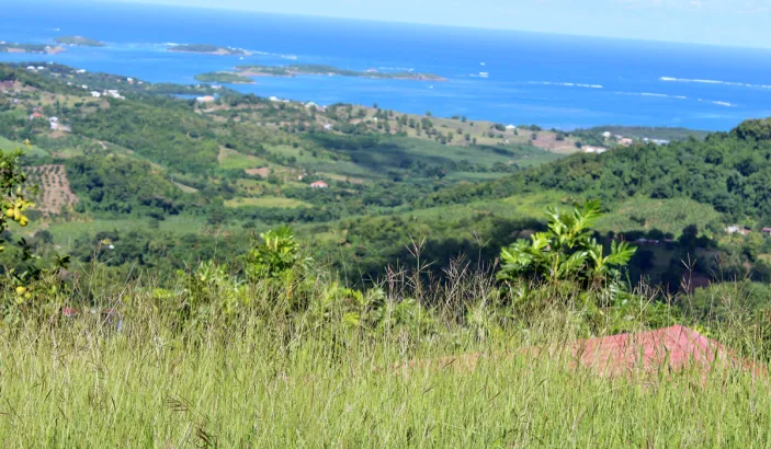View from the montagne du Vauclin