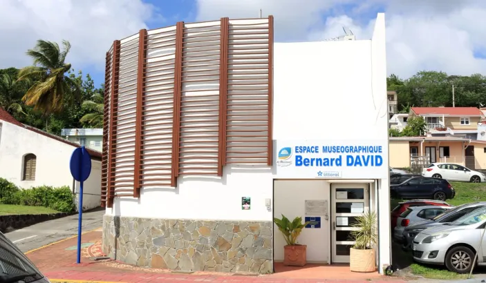 The Bernard David Museum Space