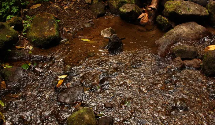 River at Les Pitons du Carbet