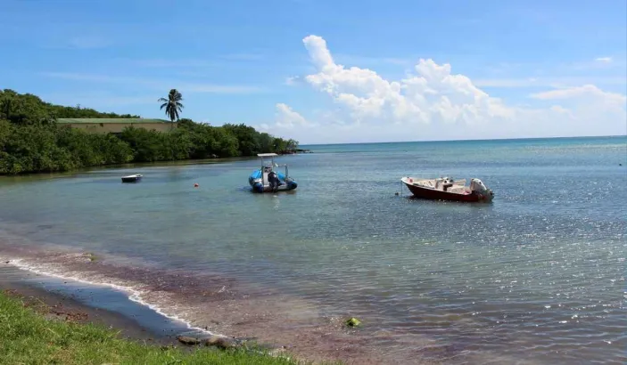 Anse O'Mullane beach