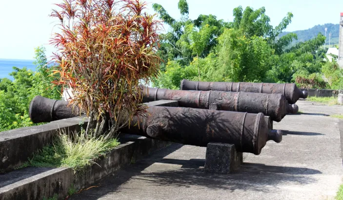 Cannons from the old fort