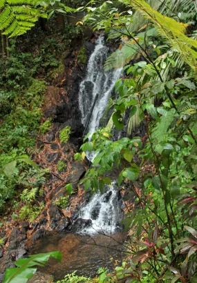 Saut Argis Waterfall