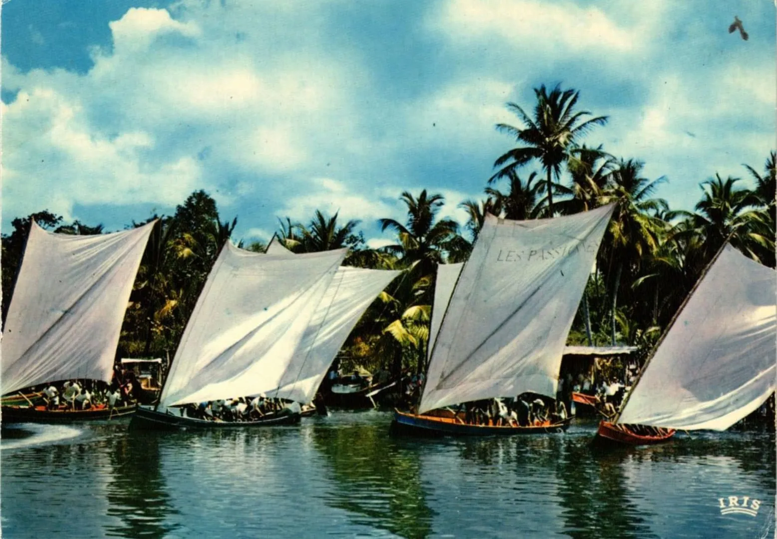 Old photo of a skiff race